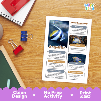 Angelfish Animal Research Page Worksheets
