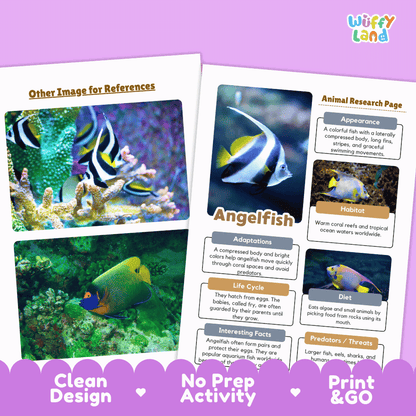 Angelfish Animal Research Page Worksheets