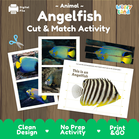 Angelfish Cut and Match Activity Worksheets | Ocean Animal Puzzle Printables