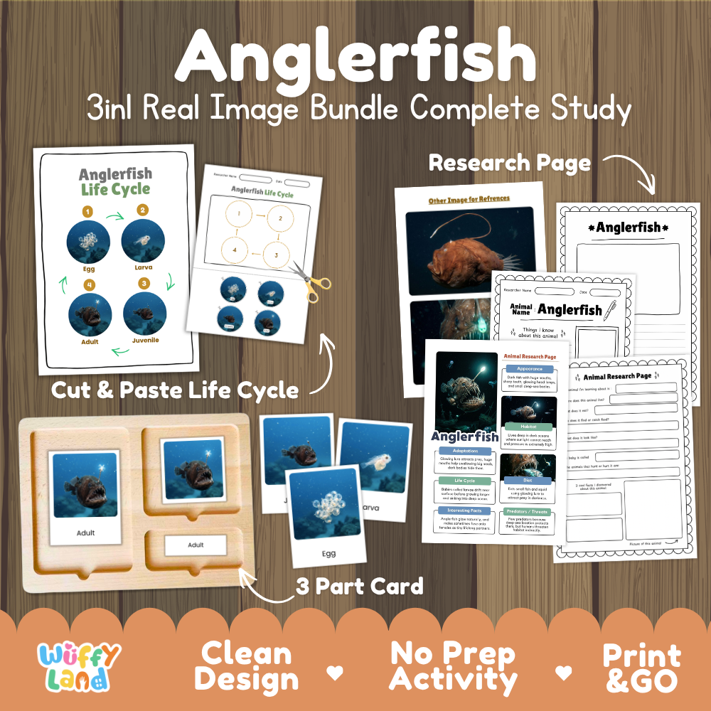 Anglerfish 3-in-1 real image bundle complete study cover showing cut and paste life cycle, 3 part cards, and research pages