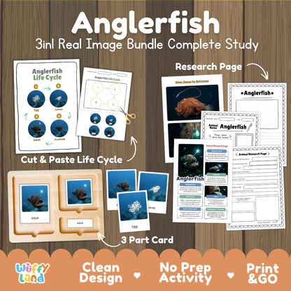 Anglerfish 3-in-1 real image bundle complete study cover showing cut and paste life cycle, 3 part cards, and research pages