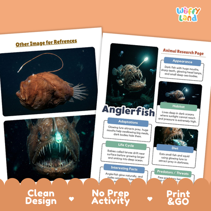 Anglerfish Animal Research Page Worksheets and Fact Sheet