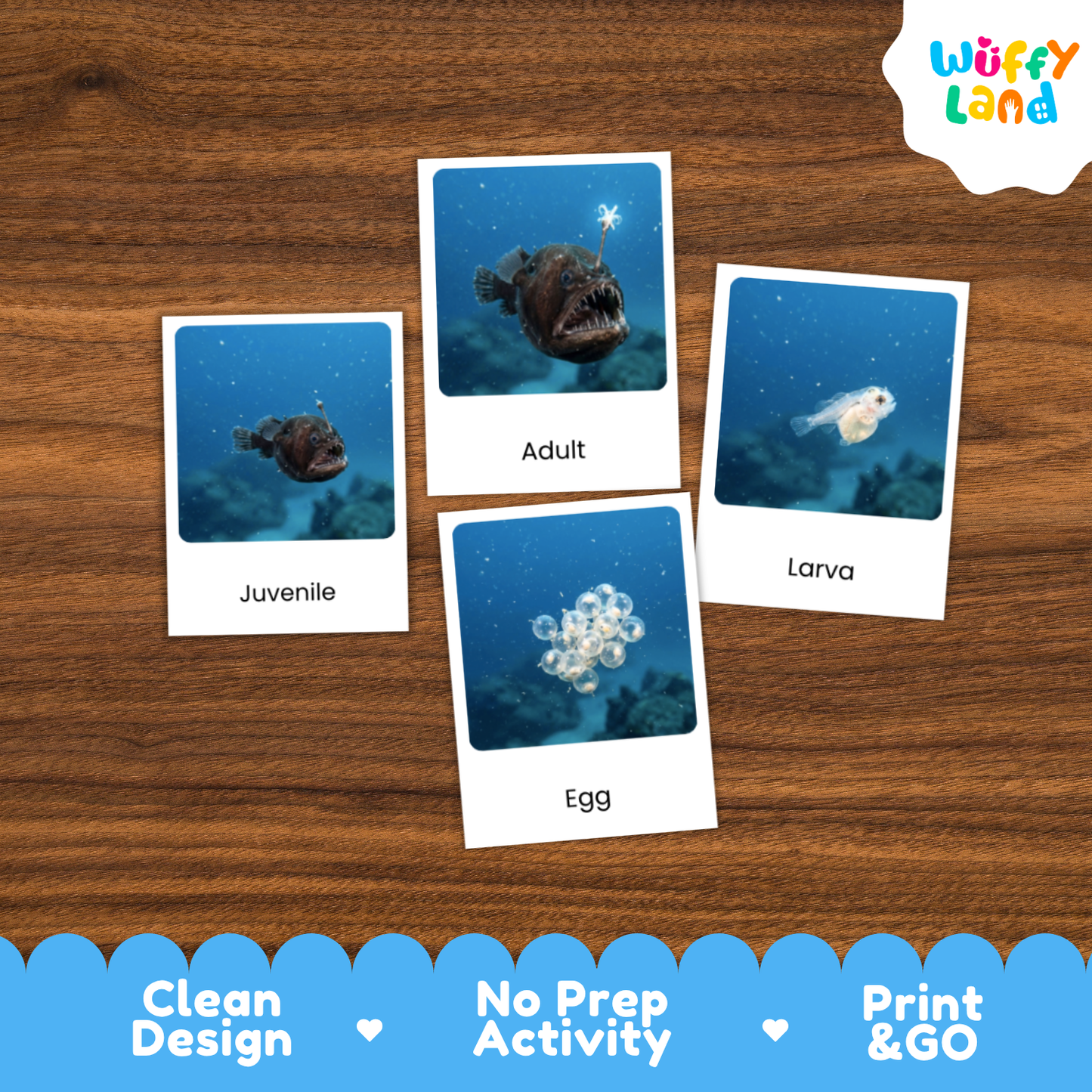 Four underwater fish activity cards labeled Juvenile, Adult, Larva, and Egg arranged on a wooden surface, with a Wuffy Land logo in the top right and a blue promotional banner at the bottom.
