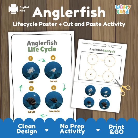 Anglerfish Life Cycle Poster and Cut and Paste Activity Worksheet