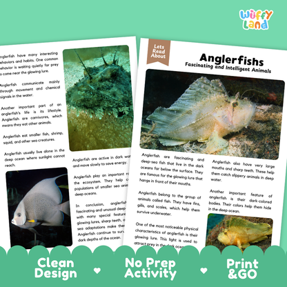 Anglerfish Reading Passage and Comprehension Questions with Answer Key Worksheets