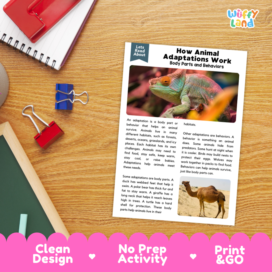 Printable student worksheet with short-answer reading comprehension questions covering animal adaptations and ecology