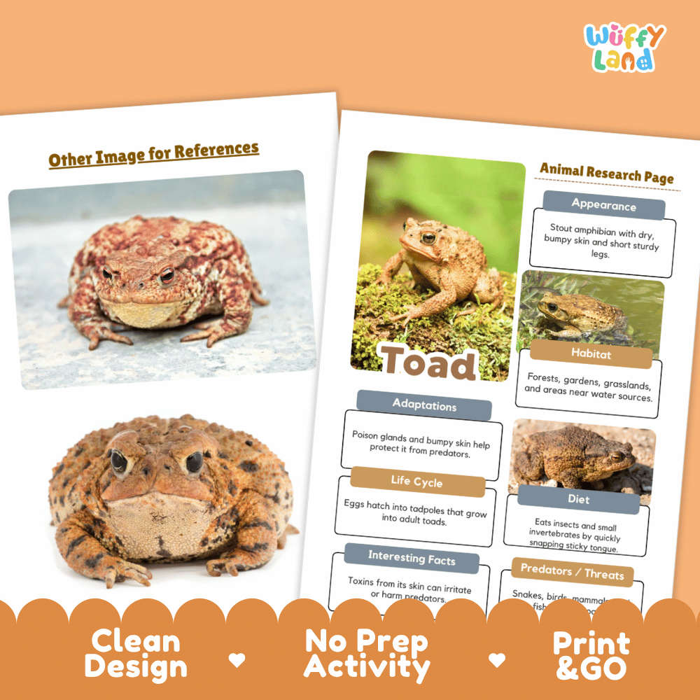 Toad Animal Research Page Worksheets