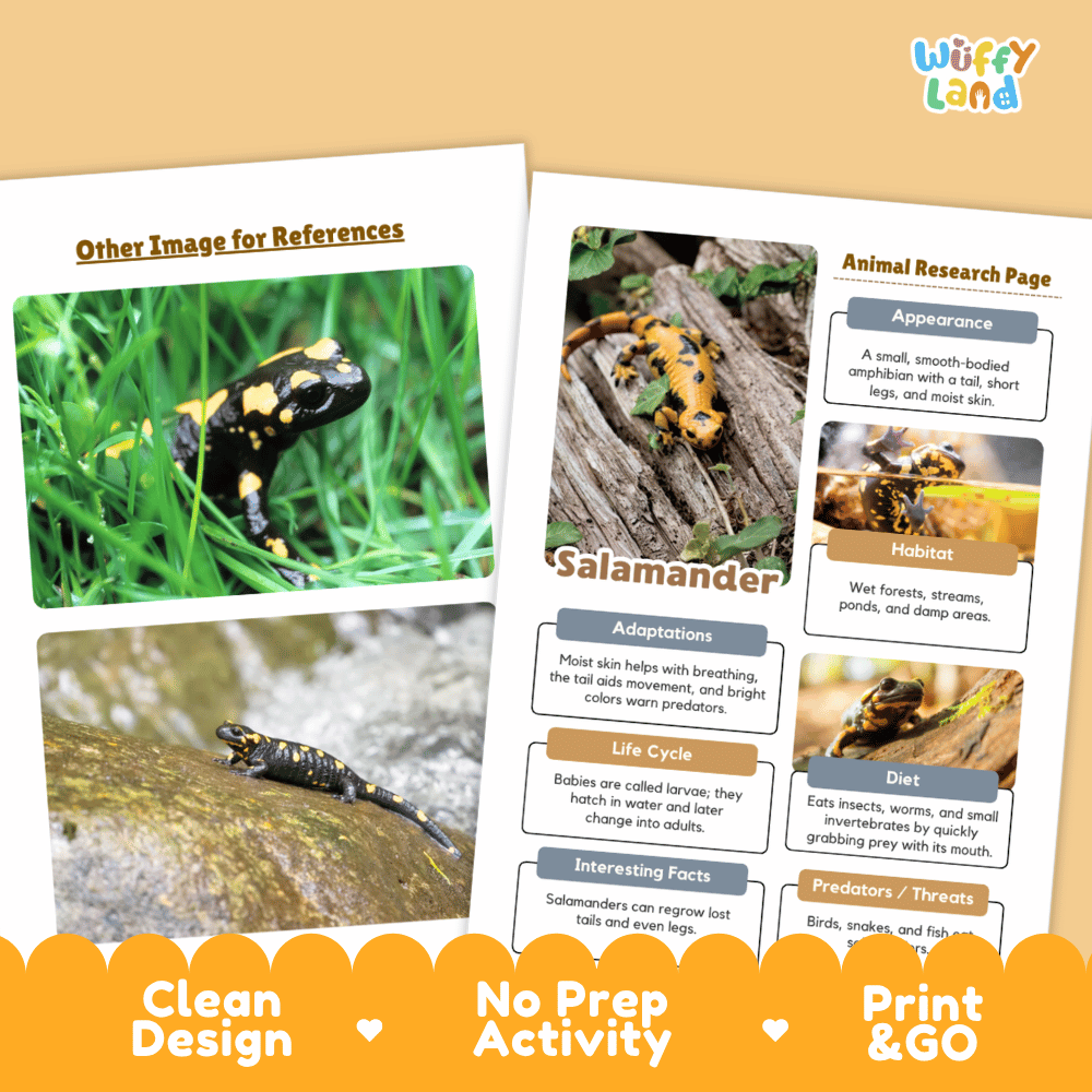 Salamander Animal Research Page Worksheets