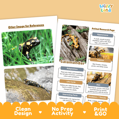 Salamander Animal Research Page Worksheets