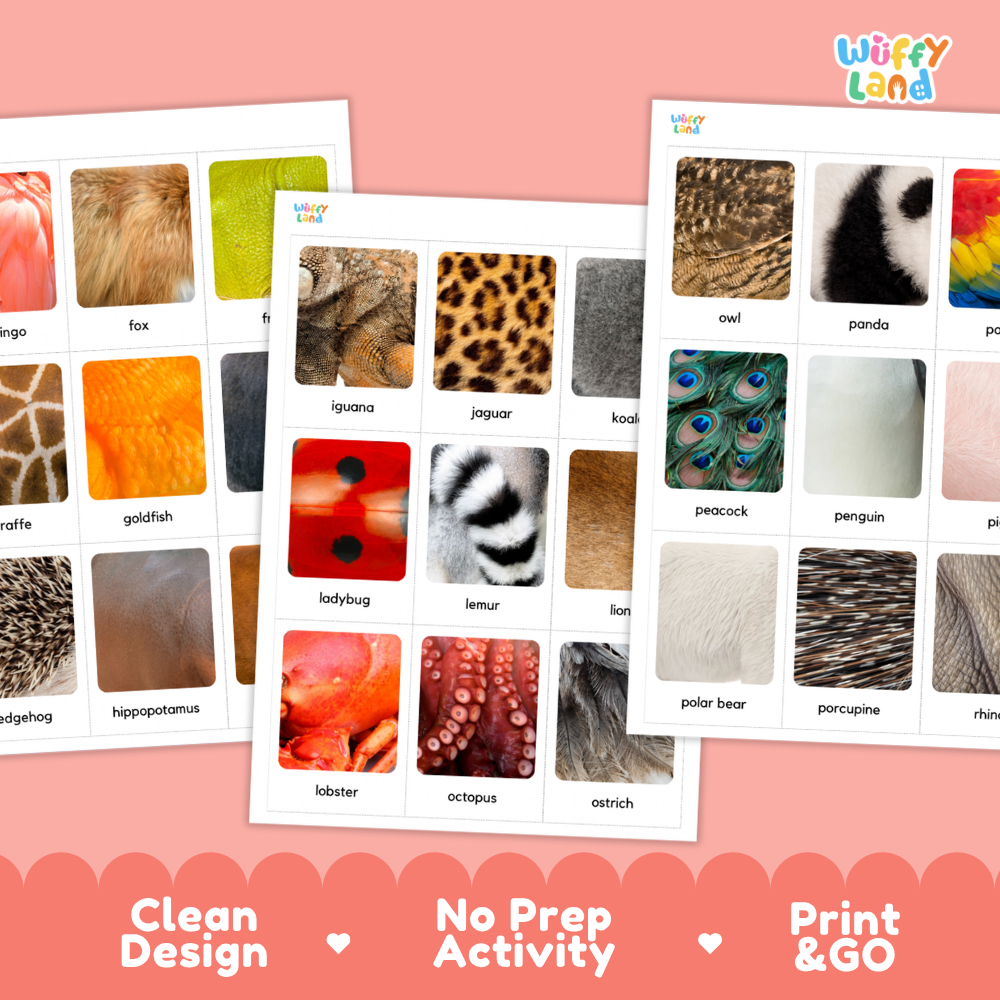 Three printed activity cards showing labeled animal fur and skin texture samples on a pink background. The cards are partially overlaid, and the top-right corner shows the brand name 'Wiffy Land'.