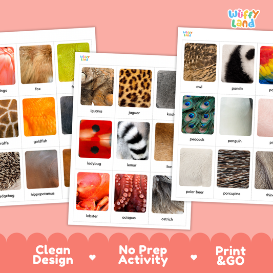 Three printed activity cards showing labeled animal fur and skin texture samples on a pink background. The cards are partially overlaid, and the top-right corner shows the brand name 'Wiffy Land'.