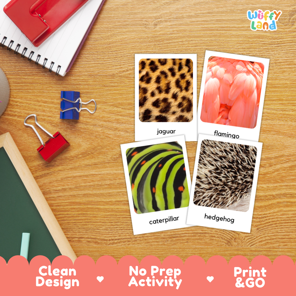 Animal Skin Flashcards Printable Cards for Early Elementary