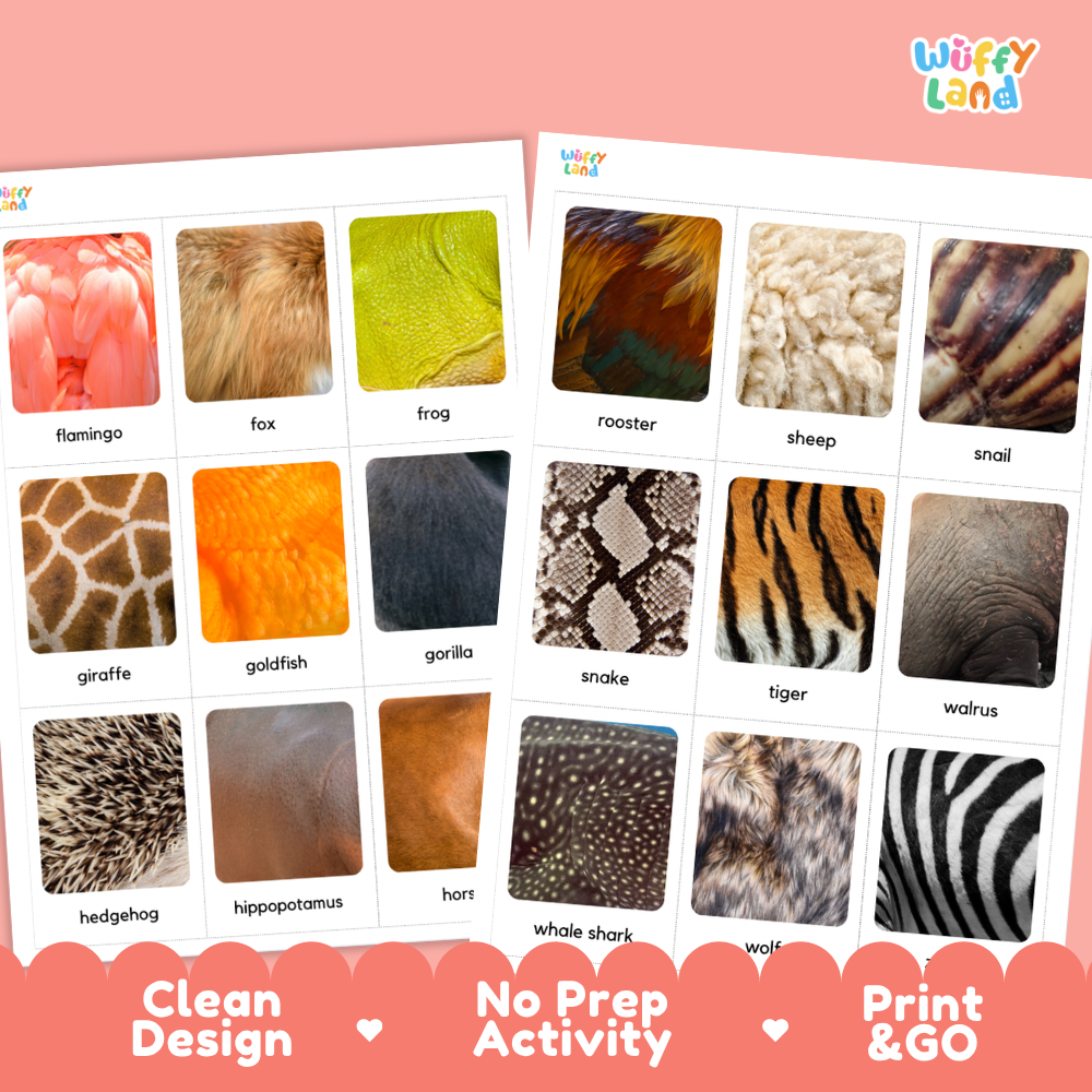 Animal Skin Flashcards Printable Cards for Early Elementary