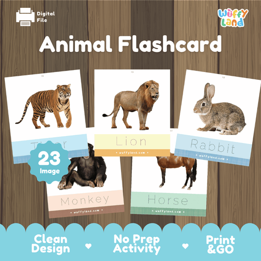 Animal Tracing Flashcards – Learn & Write Animal Names