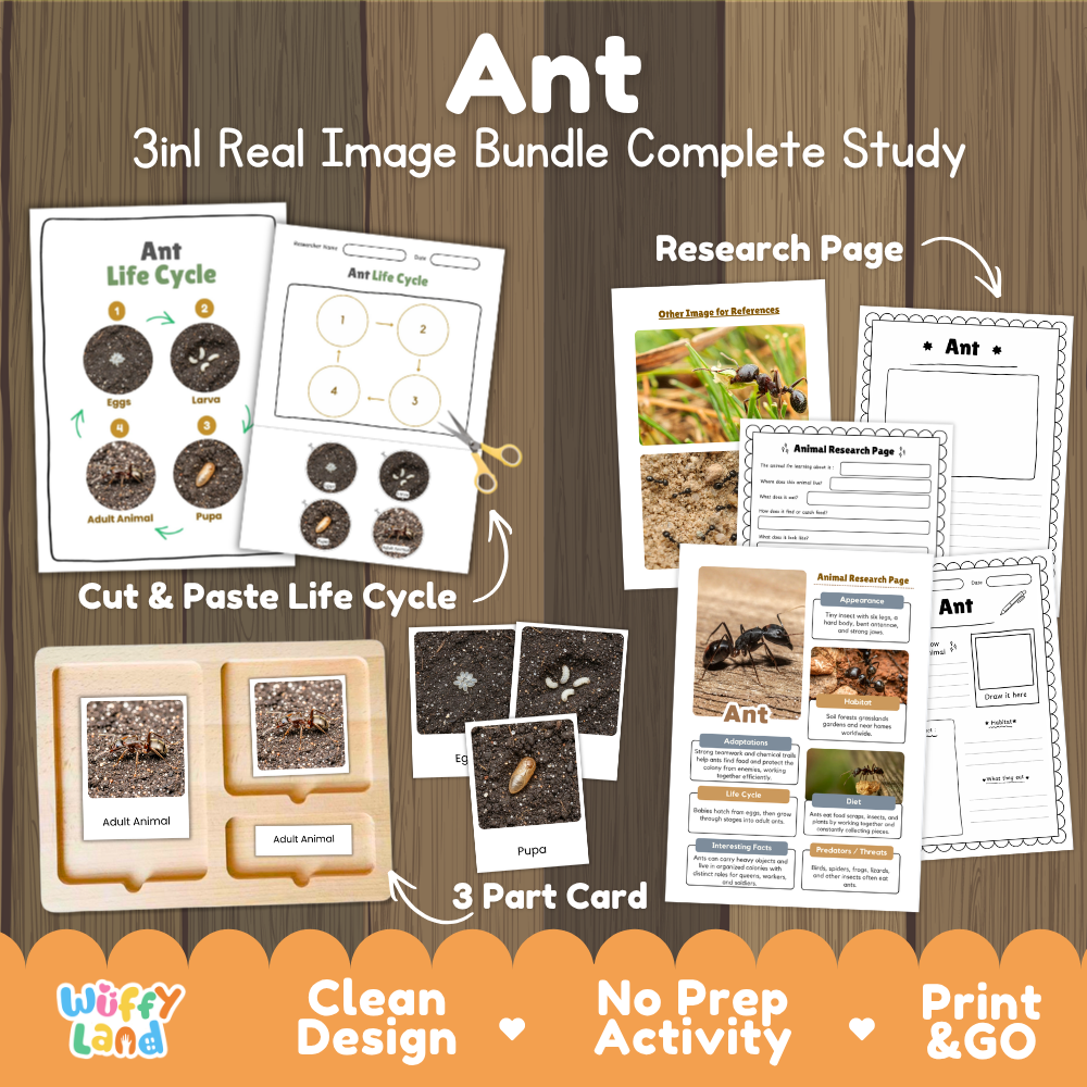Ant 3-in-1 real image bundle complete study cover showing cut and paste life cycle, 3 part cards, and research pages