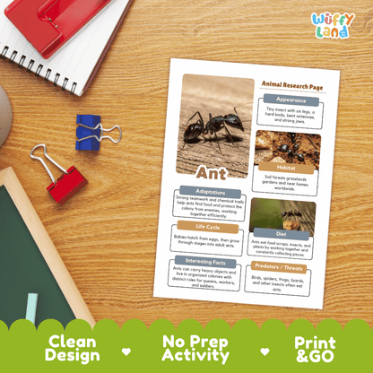 Ant Animal Research Project and Worksheets Print and Go Activity