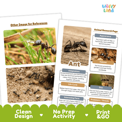 Ant Animal Research Project and Worksheets Print and Go Activity