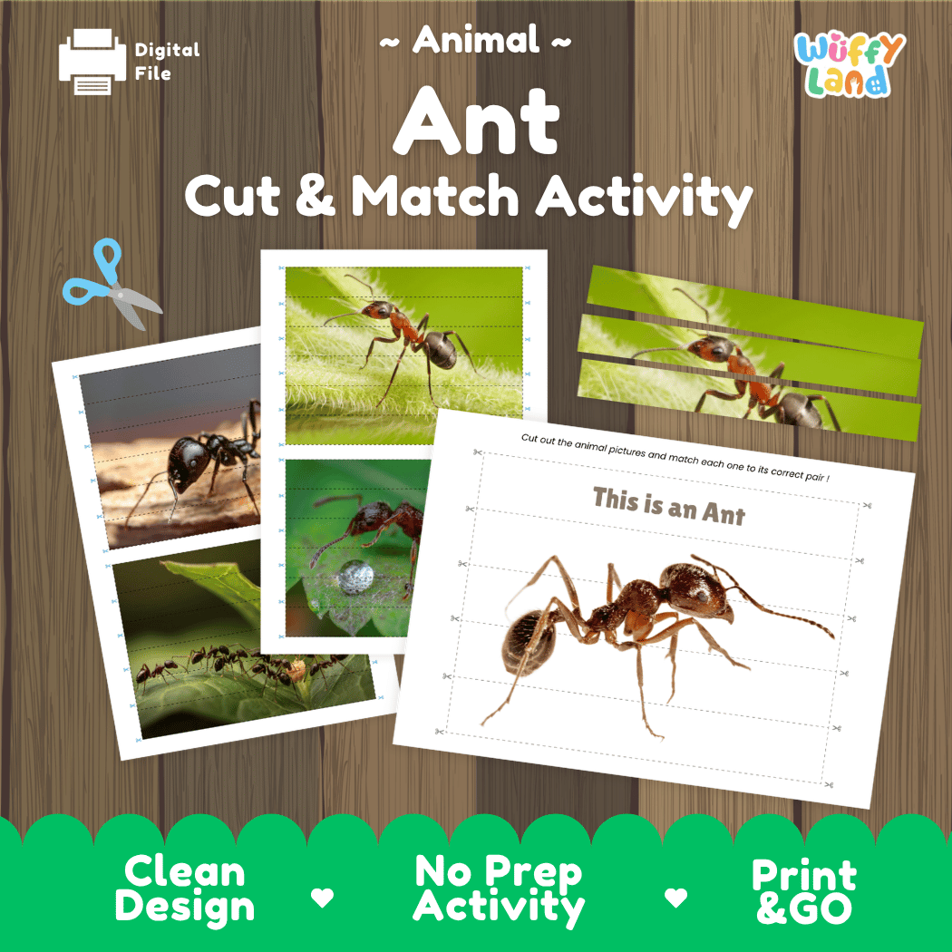 Ant Cut and Match Activity Printables Worksheets