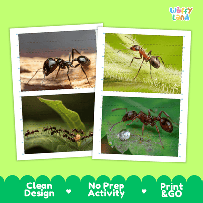Ant Cut and Match Activity Printables Worksheets
