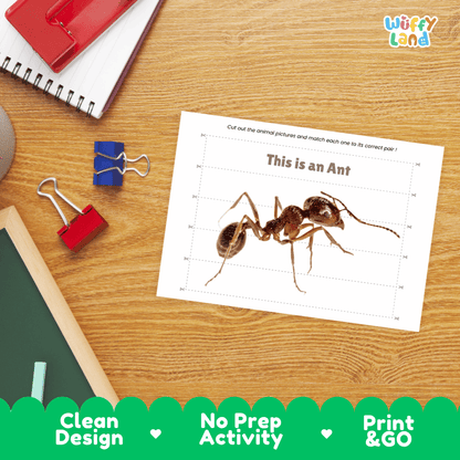Ant Cut and Match Activity Printables Worksheets