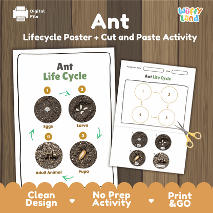 Ant Lifecycle Poster and Cut and Paste Activity Worksheets | Animal Science Printables