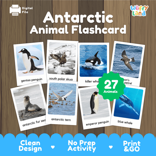 Antarctic Animal Flashcard printable polar wildlife real photo activity pack overview from Wuffy Land featuring 27 animals ❄️🐧