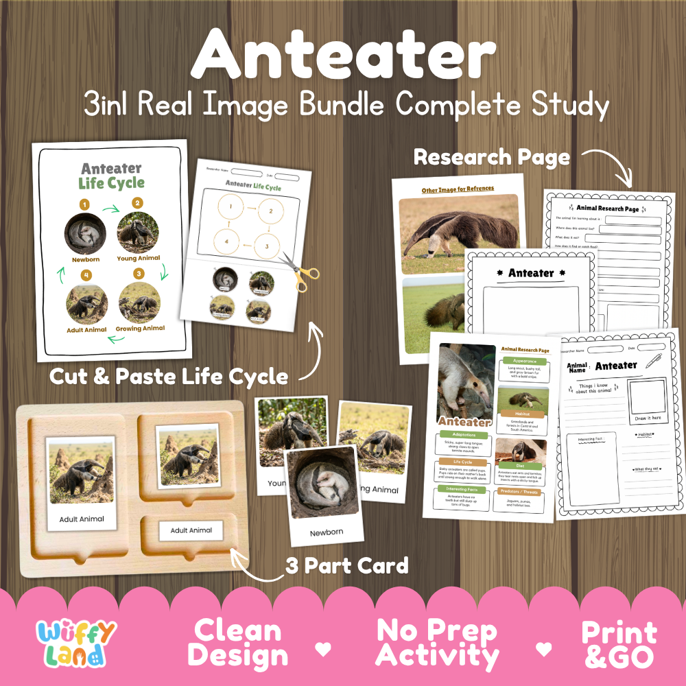 Anteater 3-in-1 real image bundle complete study cover showing cut and paste life cycle, 3 part cards, and research pages