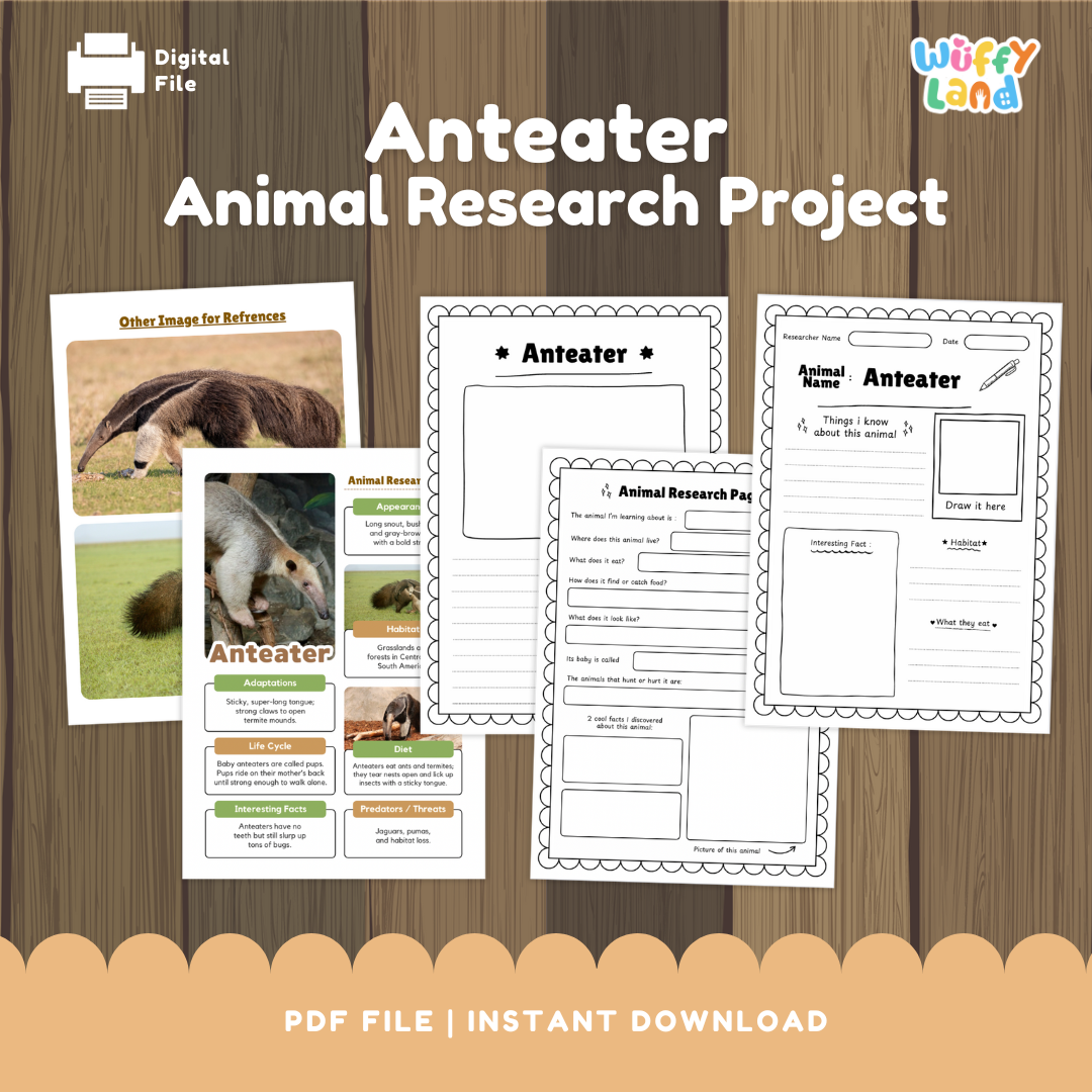 Anteater Animal Research Project printable worksheet set designed for kids to explore facts about anteaters. Includes templates for drawing, writing about appearance, habitat, diet, adaptations, and life cycle, as well as reference images of anteaters. Perfect for classroom animal studies, science centers, or homeschool research projects.