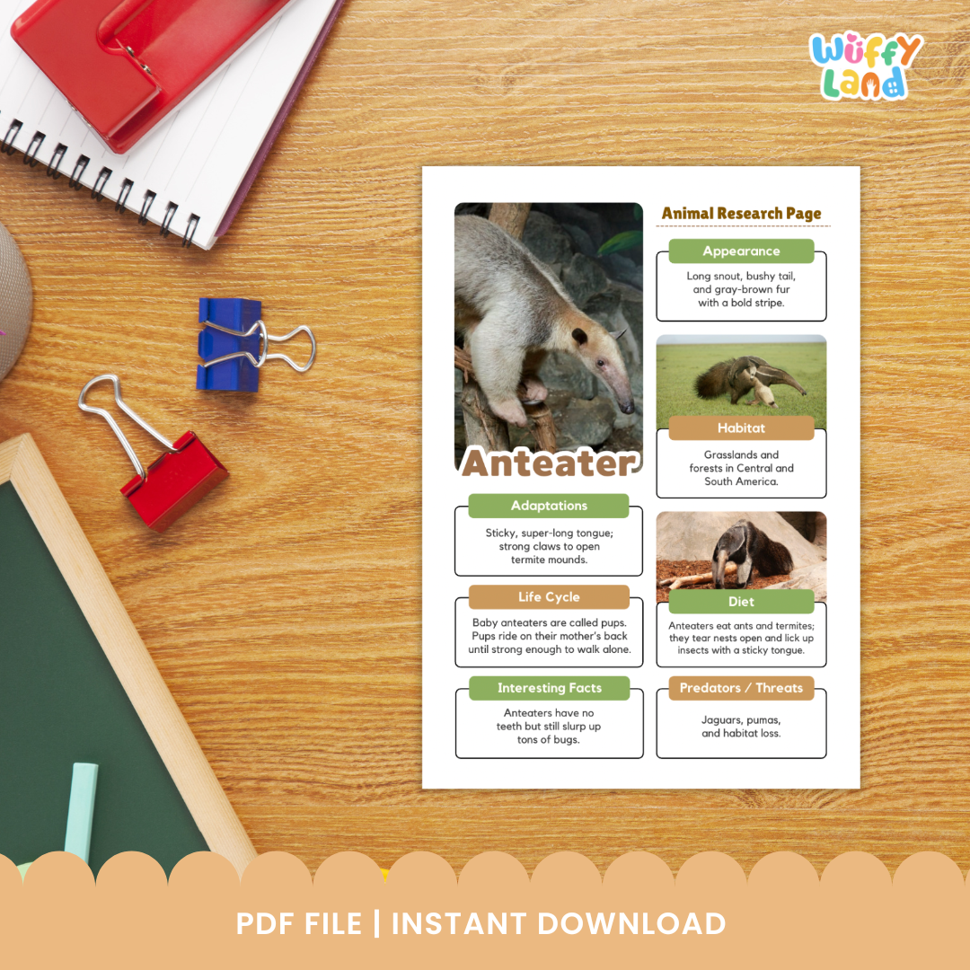 Anteater Animal Research Project printable worksheet set designed for kids to explore facts about anteaters. Includes templates for drawing, writing about appearance, habitat, diet, adaptations, and life cycle, as well as reference images of anteaters. Perfect for classroom animal studies, science centers, or homeschool research projects.