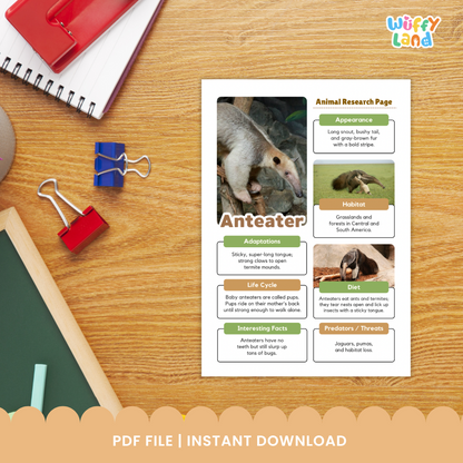 Anteater Animal Research Project printable worksheet set designed for kids to explore facts about anteaters. Includes templates for drawing, writing about appearance, habitat, diet, adaptations, and life cycle, as well as reference images of anteaters. Perfect for classroom animal studies, science centers, or homeschool research projects.
