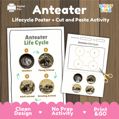Anteater Life Cycle Poster and Cut and Paste Activity Worksheets
