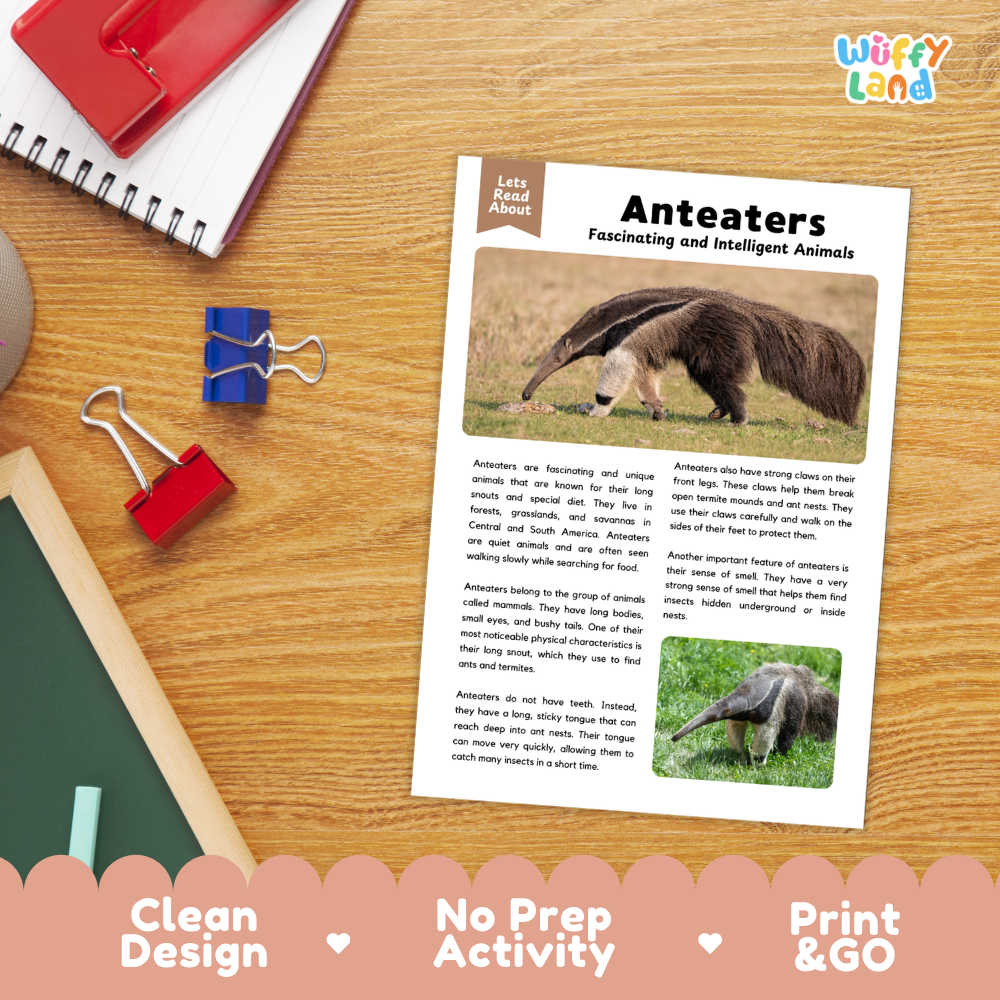 An educational activity sheet titled 'Anteaters Fascinating and Intelligent Animals' displayed on a wooden desk with a red notebook, binder clips, and a 'Wiffle Land' logo in the corner. The sheet features text and animal photos, with a decorative pink banner at the bottom reading 'Clean Design', 'No Prep Activity', and 'Print & GO'.
