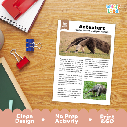 An educational activity sheet titled 'Anteaters Fascinating and Intelligent Animals' displayed on a wooden desk with a red notebook, binder clips, and a 'Wiffle Land' logo in the corner. The sheet features text and animal photos, with a decorative pink banner at the bottom reading 'Clean Design', 'No Prep Activity', and 'Print & GO'.