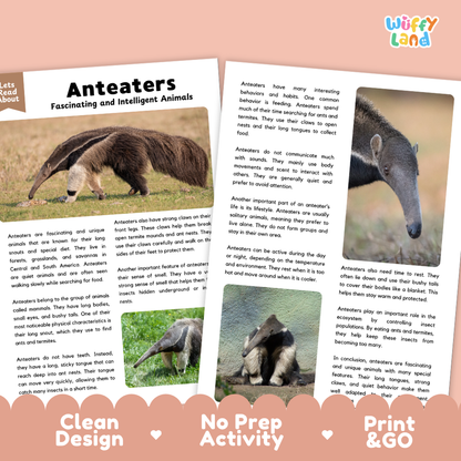 Anteaters Reading Passage and Comprehension Questions Worksheets with Answer Key