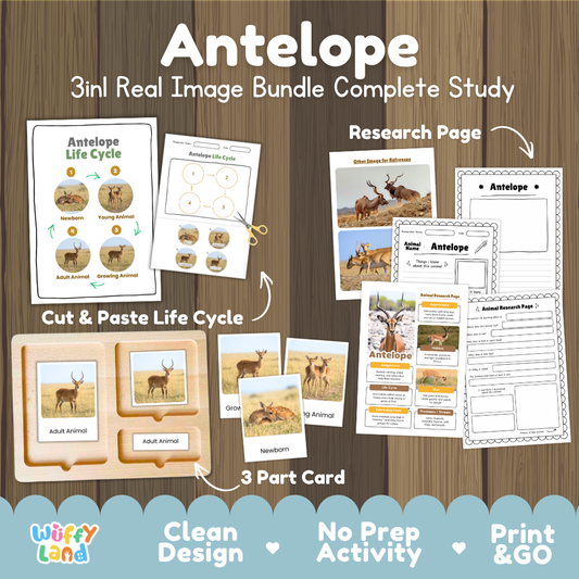 Antelope 3-in-1 real image bundle complete study cover showing cut and paste life cycle, 3 part cards, and research pages
