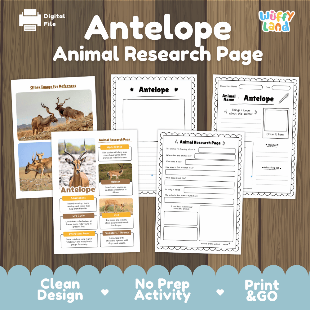 Antelope Animal Research Page printable worksheet set by Wiffy Land, displayed on a wood-grain background. The set includes a reference page with images of antelopes, an animal profile page, and two blank research pages.
