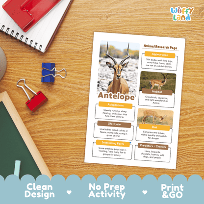 Antelope Animal Research Page Graphic Organizers and Worksheets
