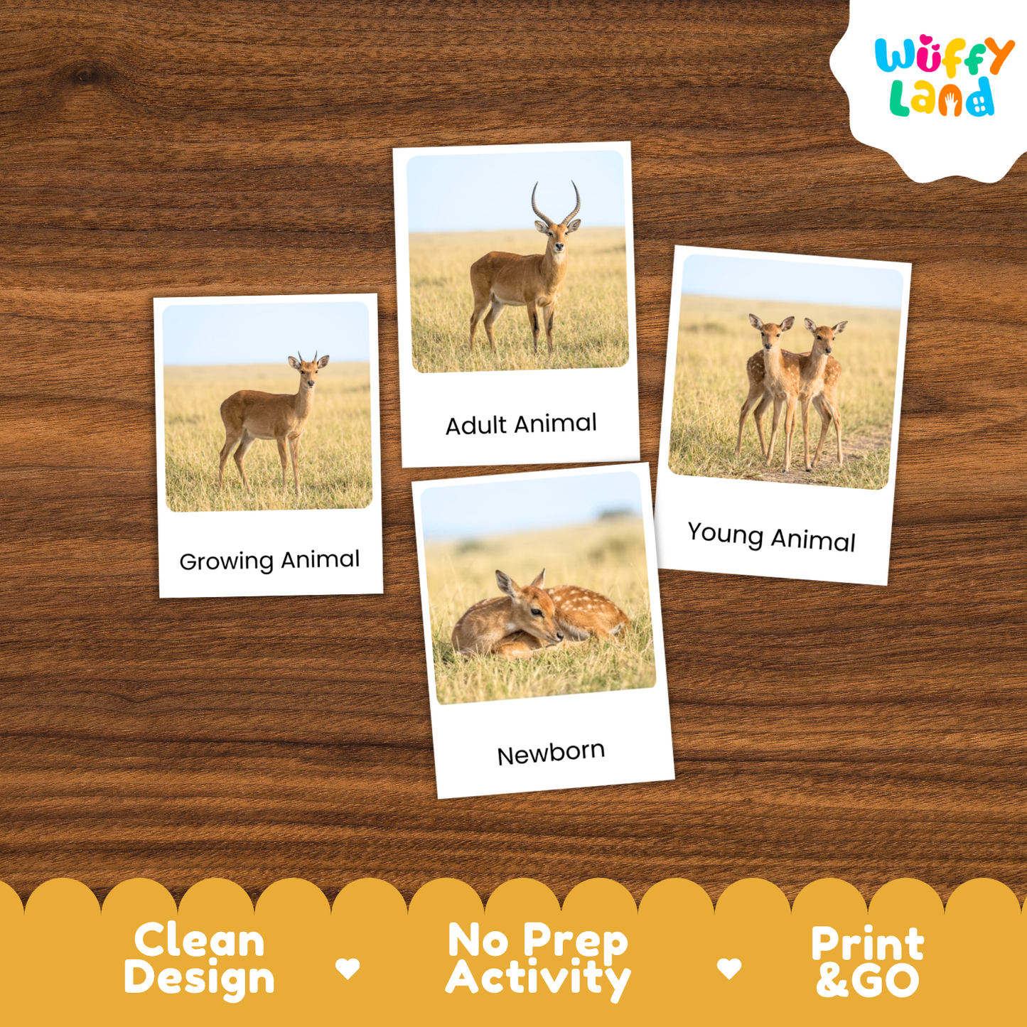 Four animal-themed activity cards are arranged on a wooden surface. The cards show photos of deer and labels reading Growing Animal, Adult Animal, Young Animal, and Newborn.