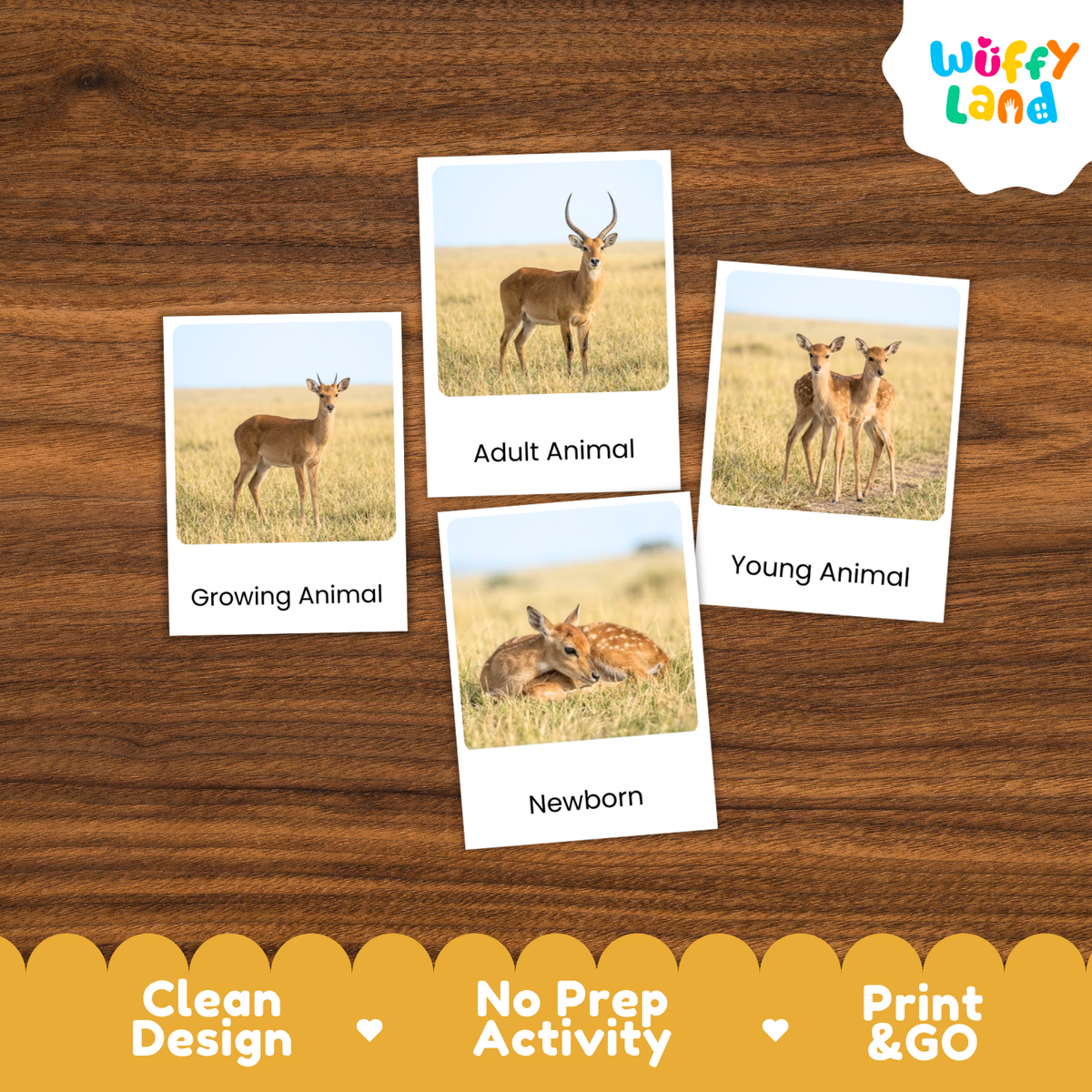 Four animal-themed activity cards are arranged on a wooden surface. The cards show photos of deer and labels reading Growing Animal, Adult Animal, Young Animal, and Newborn.