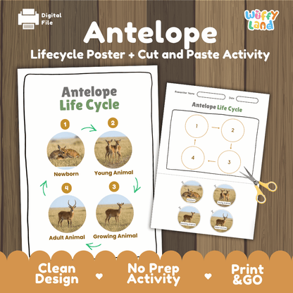 Antelope Life Cycle Poster and Cut and Paste Activity Worksheets