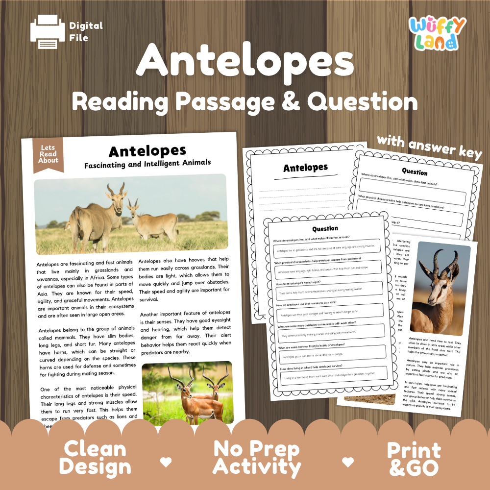 Digital reading activity sheet set titled 'Antelopes Reading Passage & Question' on a wood background, showing a passage with antelope images, worksheet pages with answer key, and promotional text including 'Clean Design', 'No Prep Activity', and 'Print & GO'.