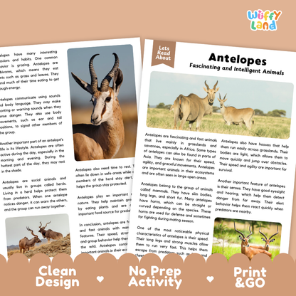 A children's educational poster about antelopes, featuring a blue animal silhouette, the title 'Antelopes Fascinating and Intelligent Animals,' a 'Lets Read About' label, and three marketing callouts at the bottom reading 'Clean Design,' 'No Prep Activity,' and 'Print & Go.'.