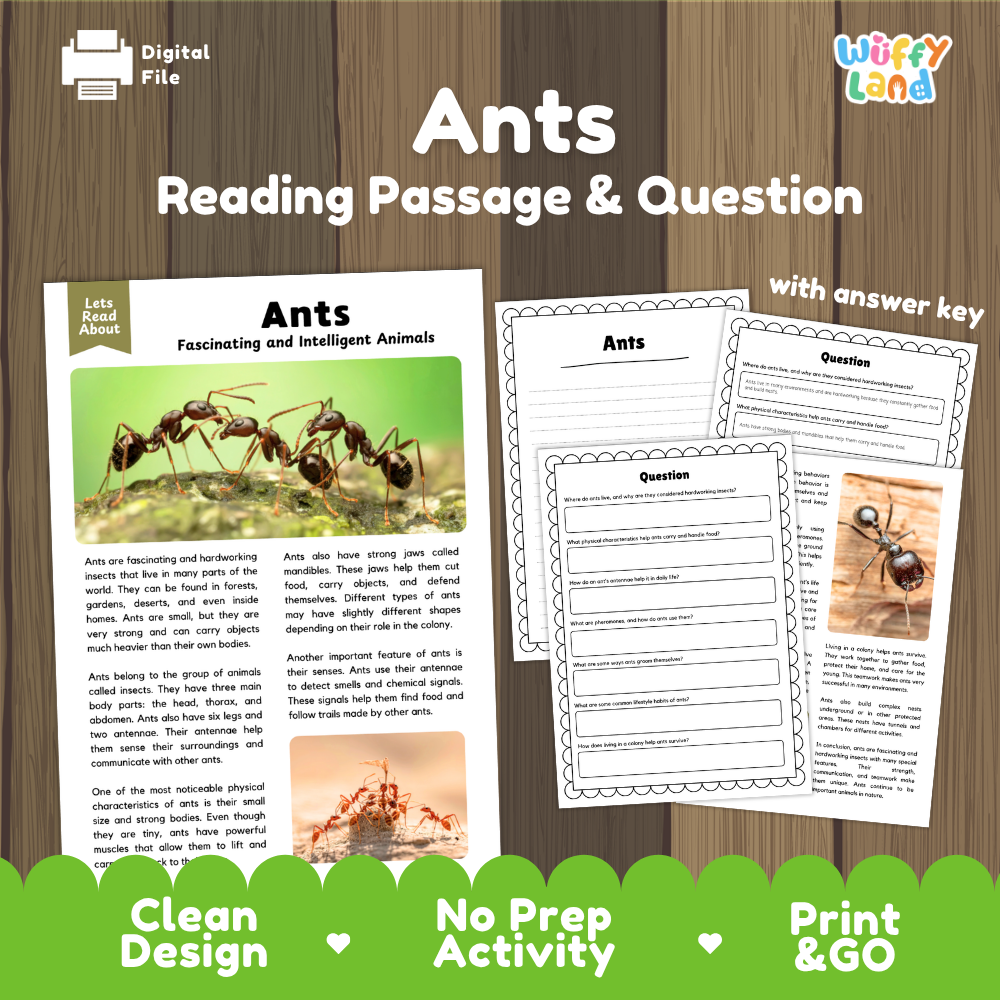 Ants reading passage and question activity sheet set by Wiffly Land, featuring a wooden background with a sample page, worksheet templates, and a green banner at the bottom.