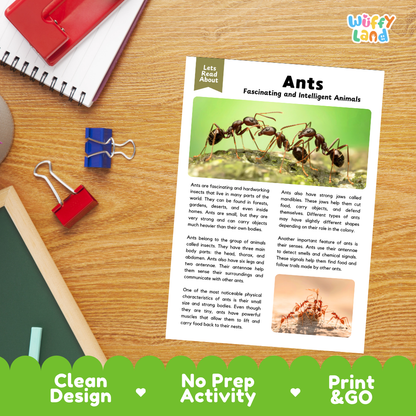 A printed educational activity sheet titled 'Ants Fascinating and Intelligent Animals' lies on a wooden desk. The sheet includes a large ant illustration, text, and small inset photos, with a green banner at the bottom reading 'Clean Design', 'No Prep Activity', and 'Print & GO'.