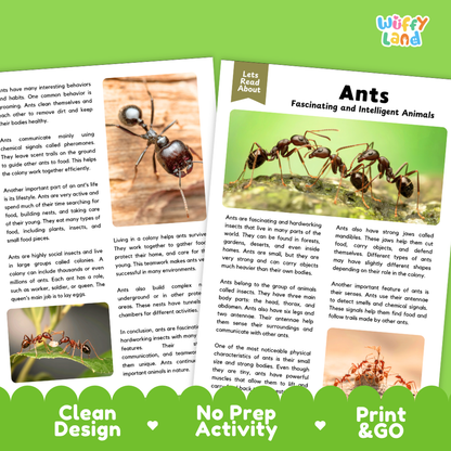 Two printed activity cards for ants displayed on a light gray background with decorative text and icons. The cards are labeled 'Wuffly Land' and feature colorful illustrations of ants, text such as 'Lets Read About Ants Fascinating and Intelligent Animals,' and learning points about ant behaviors and colonies.