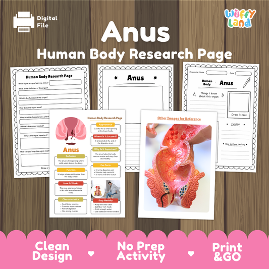Anus Human Body Research Page Worksheets and Reference Sheets
