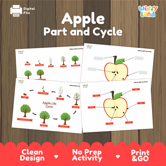 Apple part and cycle printable botany activity and anatomy diagram pack overview from Wuffy Land featuring 4 worksheets 🍎🌱