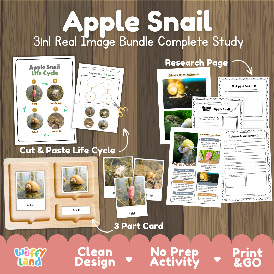 Apple Snail 3-in-1 real image bundle complete study cover showing cut and paste life cycle, 3 part cards, and research pages