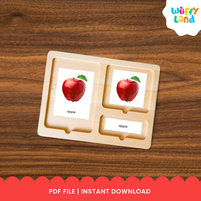 A set of apple anatomy flashcards showing realistic illustrations of apple parts such as the peel, leaf, seeds, and the whole apple. Includes three-part cards with matching labels for each part, designed for Montessori-style hands-on learning activities. Perfect for teaching children apple anatomy and vocabulary.