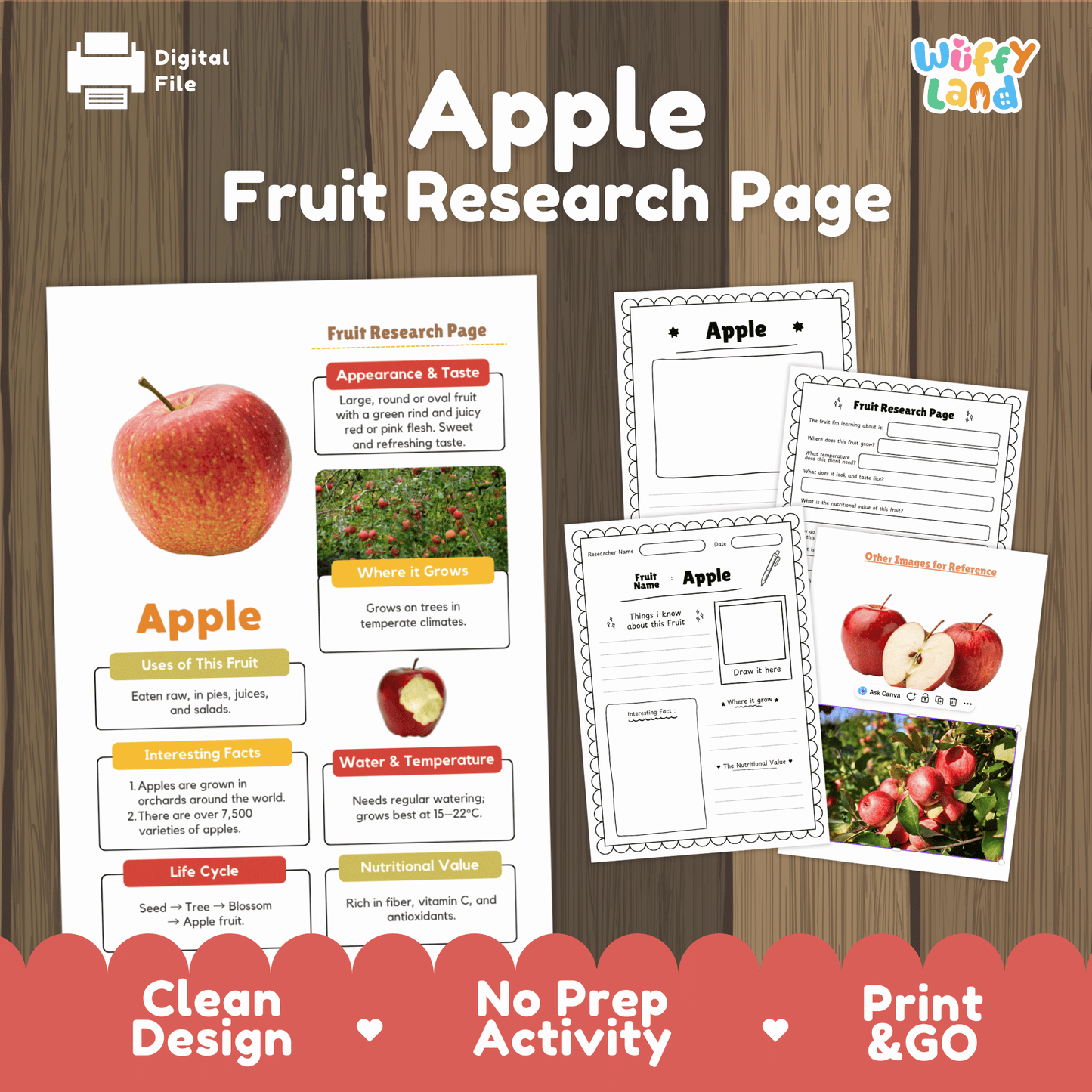 Apple Fruit Research Project | Healthy Eating Science | Life Cycle Activity